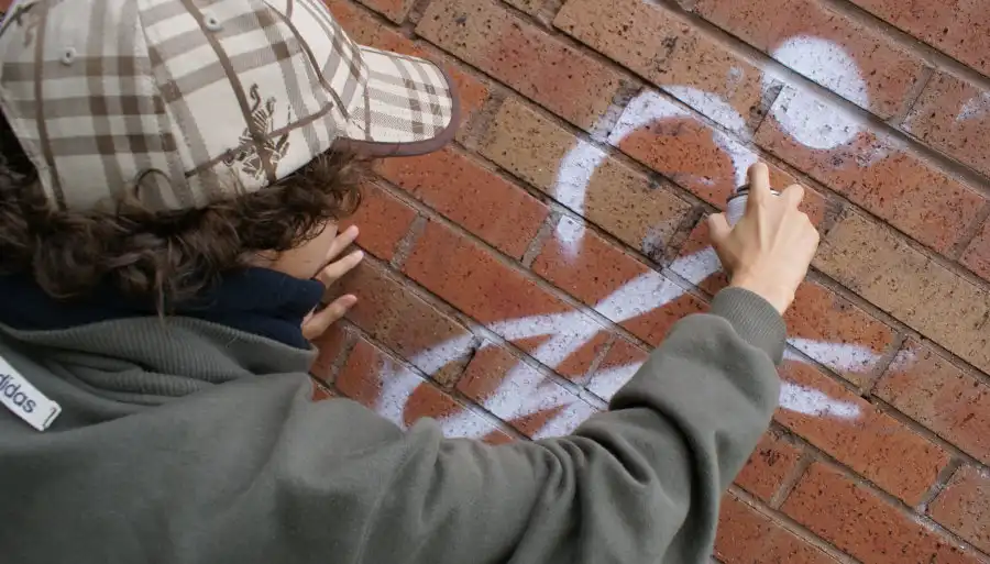 Vandalism Defense Lawyers